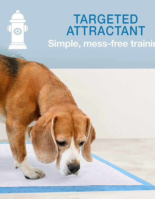 Load image into Gallery viewer, Wee-Wee Superior Performance Pee Pads for Dogs - Dog &amp; Puppy Pads for Potty Training - Dog Housebreaking &amp; Puppy Supplies - 22" X 23" (200 Count)
